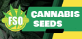 Free Seeds Online